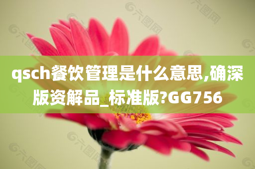 qsch餐饮管理是什么意思,确深版资解品_标准版?GG756