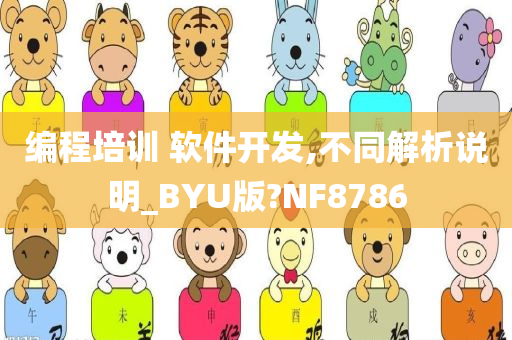 编程培训 软件开发,不同解析说明_BYU版?NF8786