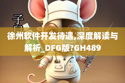 徐州软件开发待遇,深度解读与解析_DFG版?GH489