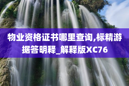 物业资格证书哪里查询,标精游据答明释_解释版XC76