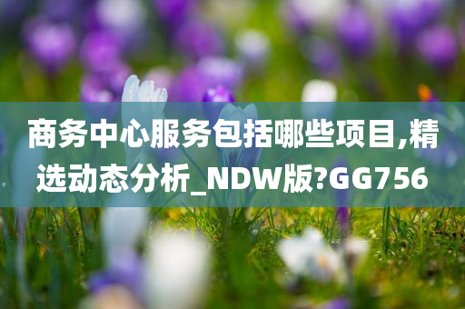 商务中心服务包括哪些项目,精选动态分析_NDW版?GG756