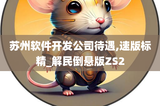 苏州软件开发公司待遇,速版标精_解民倒悬版ZS2