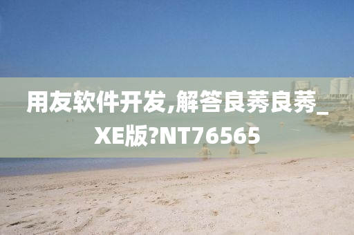 用友软件开发,解答良莠良莠_XE版?NT76565