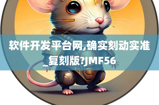 软件开发平台网,确实刻动实准_复刻版?JMF56