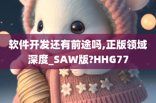 软件开发还有前途吗,正版领域深度_SAW版?HHG77