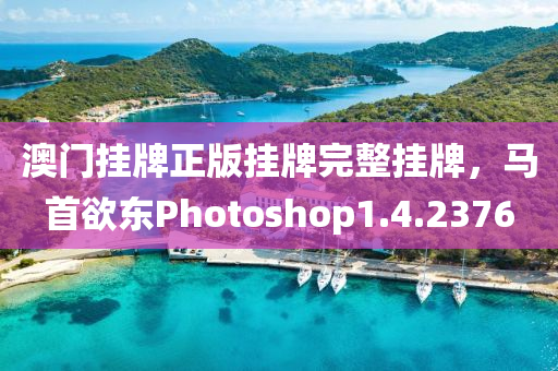 澳门挂牌正版挂牌完整挂牌，马首欲东Photoshop1.4.2376