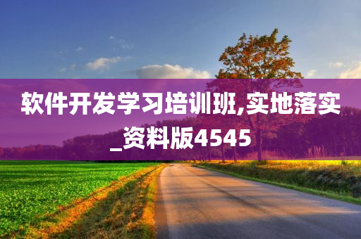 软件开发学习培训班,实地落实_资料版4545