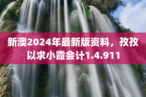 新澳2024年最新版资料，孜孜以求小霞会计1.4.911