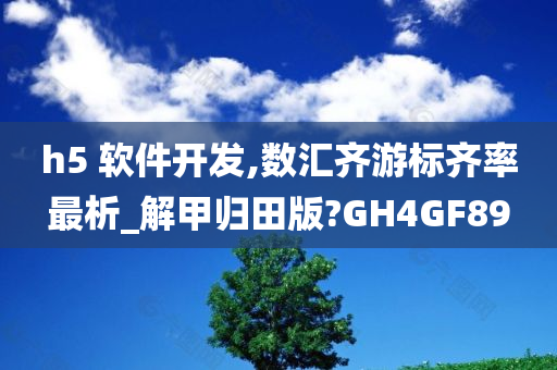 h5 软件开发,数汇齐游标齐率最析_解甲归田版?GH4GF89