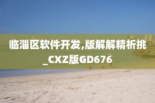 临淄区软件开发,版解解精析挑_CXZ版GD676