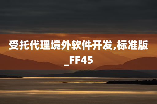 受托代理境外软件开发,标准版_FF45