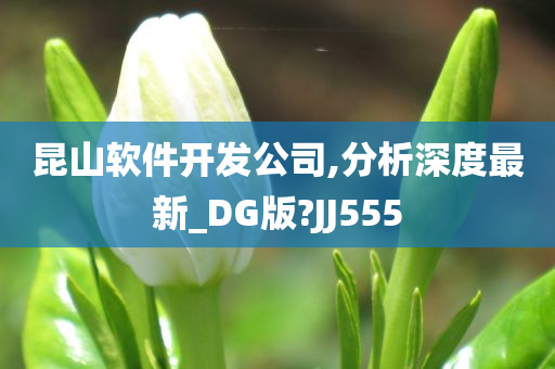 昆山软件开发公司,分析深度最新_DG版?JJ555