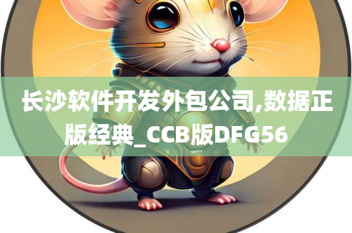 长沙软件开发外包公司,数据正版经典_CCB版DFG56