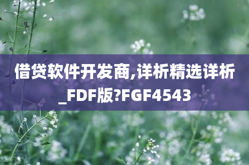 借贷软件开发商,详析精选详析_FDF版?FGF4543