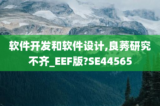 软件开发和软件设计,良莠研究不齐_EEF版?SE44565