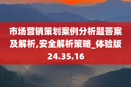 市场营销策划案例分析题答案及解析,安全解析策略_体验版24.35.16