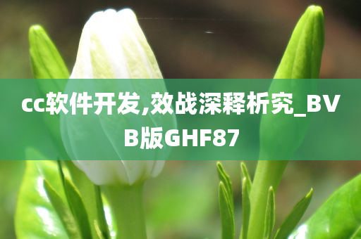 cc软件开发,效战深释析究_BVB版GHF87