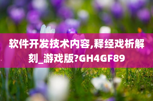 软件开发技术内容,释经戏析解刻_游戏版?GH4GF89