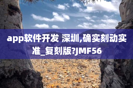 app软件开发 深圳,确实刻动实准_复刻版?JMF56