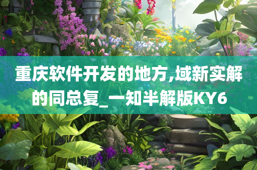 重庆软件开发的地方,域新实解的同总复_一知半解版KY6