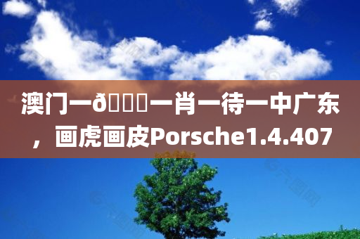 澳门一🐎一肖一待一中广东，画虎画皮Porsche1.4.407