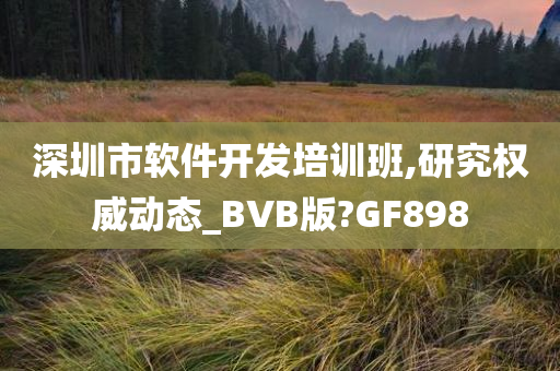 深圳市软件开发培训班,研究权威动态_BVB版?GF898