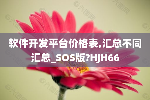 软件开发平台价格表,汇总不同汇总_SOS版?HJH66