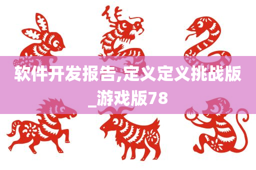 软件开发报告,定义定义挑战版_游戏版78