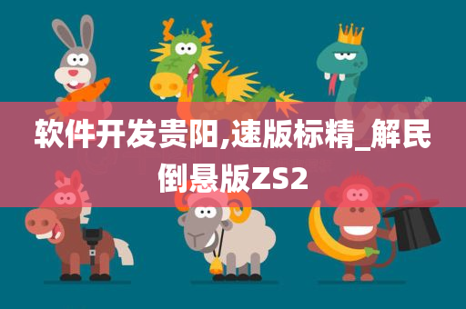 软件开发贵阳,速版标精_解民倒悬版ZS2