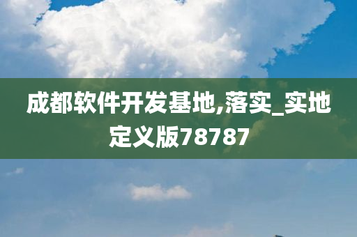 成都软件开发基地,落实_实地定义版78787