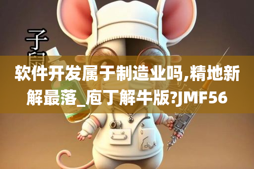 软件开发属于制造业吗,精地新解最落_庖丁解牛版?JMF56