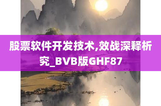 股票软件开发技术,效战深释析究_BVB版GHF87