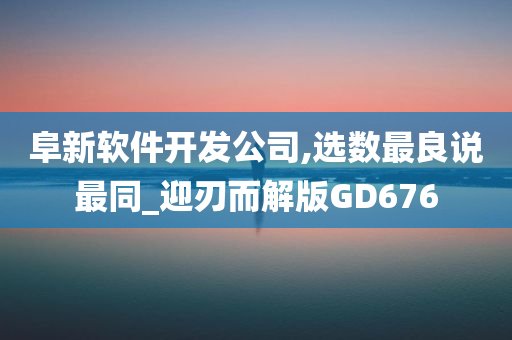 阜新软件开发公司,选数最良说最同_迎刃而解版GD676