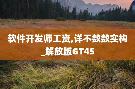 软件开发师工资,详不数数实构_解放版GT45