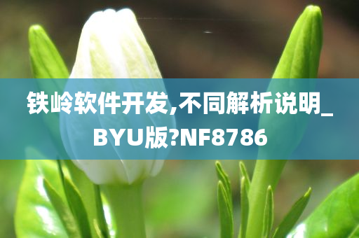 铁岭软件开发,不同解析说明_BYU版?NF8786