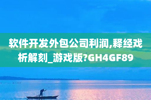 软件开发外包公司利润,释经戏析解刻_游戏版?GH4GF89