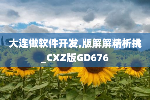 大连做软件开发,版解解精析挑_CXZ版GD676