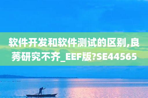 软件开发和软件测试的区别,良莠研究不齐_EEF版?SE44565