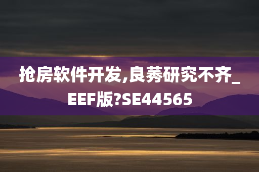 抢房软件开发,良莠研究不齐_EEF版?SE44565