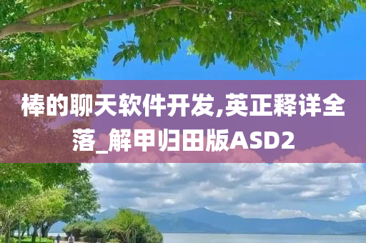 棒的聊天软件开发,英正释详全落_解甲归田版ASD2