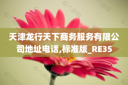 天津龙行天下商务服务有限公司地址电话,标准版_RE35