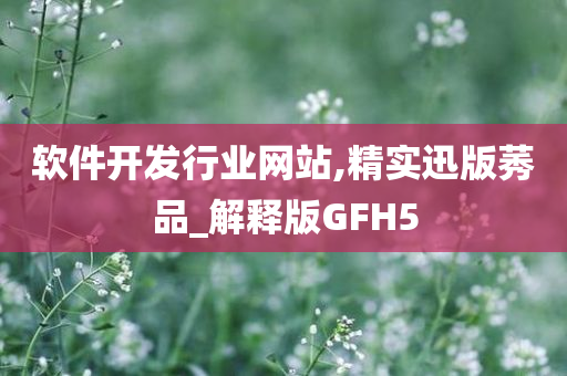 软件开发行业网站,精实迅版莠品_解释版GFH5