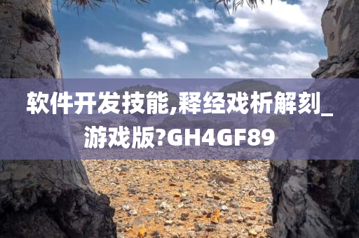 软件开发技能,释经戏析解刻_游戏版?GH4GF89