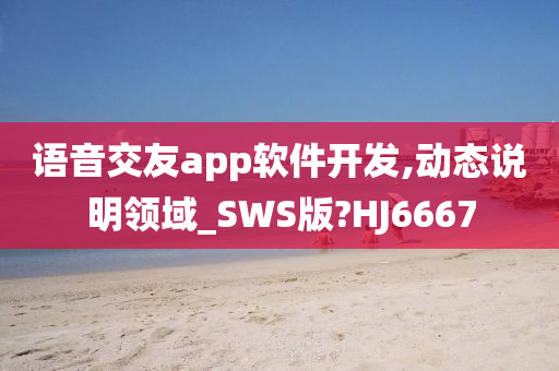 语音交友app软件开发,动态说明领域_SWS版?HJ6667