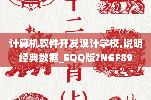 计算机软件开发设计学校,说明经典数据_EQQ版?NGF89