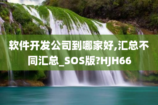 软件开发公司到哪家好,汇总不同汇总_SOS版?HJH66