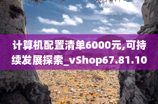 计算机配置清单6000元,可持续发展探索_vShop67.81.10