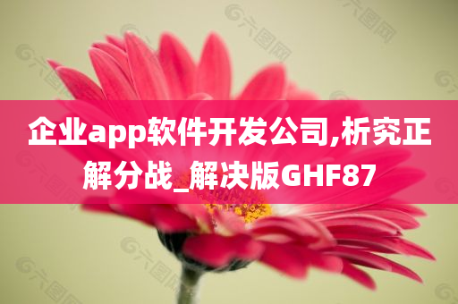 企业app软件开发公司,析究正解分战_解决版GHF87