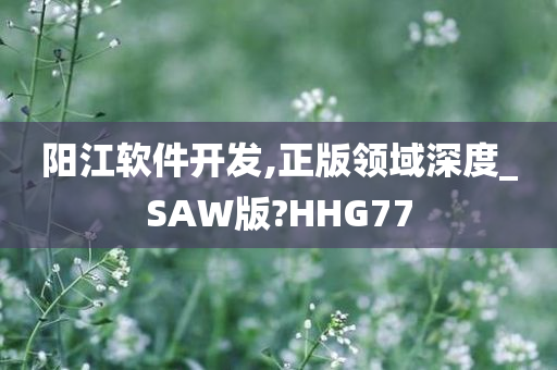 阳江软件开发,正版领域深度_SAW版?HHG77