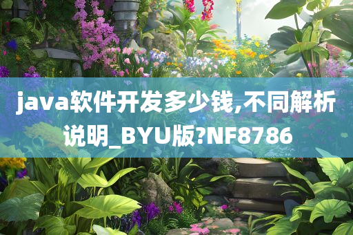 java软件开发多少钱,不同解析说明_BYU版?NF8786